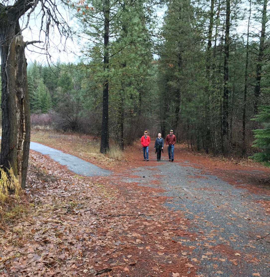 B79E8129-08F7-46D2-9924-9C0E10B3EF09