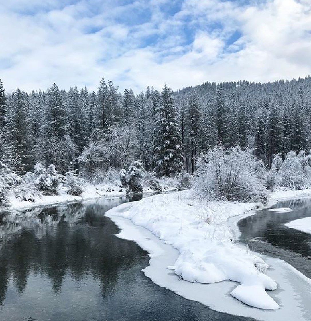 63BDAF1F-B65A-4140-A355-1411EDE3107D