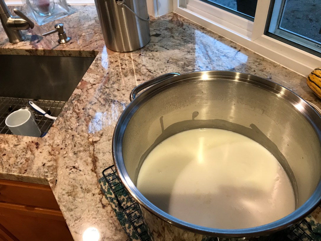 3BDFAB86-CBFA-4D49-B41A-F3CD5AFAE135